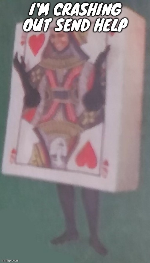 The card lady | I'M CRASHING OUT SEND HELP | image tagged in the card lady | made w/ Imgflip meme maker