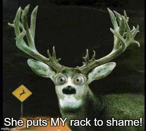 She puts MY rack to shame! | image tagged in deer in the headlights | made w/ Imgflip meme maker