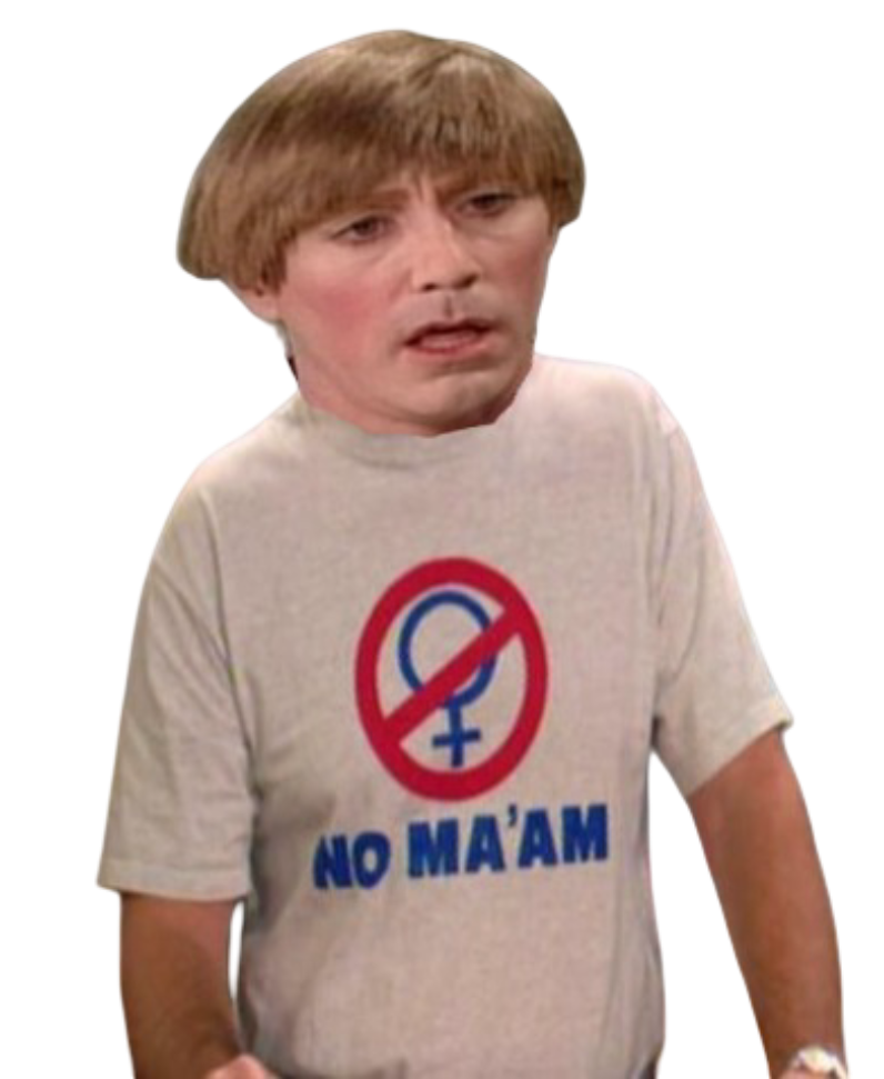 Stewart madtv - Al Bundy - no ma'am Blank Meme Template