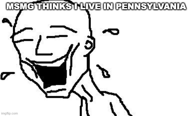 to avoid revealing myself, i will not tell anyone where i really live | MSMG THINKS I LIVE IN PENNSYLVANIA | image tagged in lmao | made w/ Imgflip meme maker