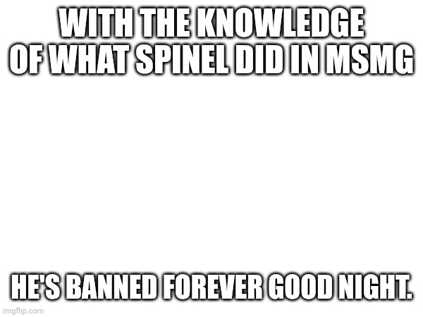 WITH THE KNOWLEDGE OF WHAT SPINEL DID IN MSMG; HE'S BANNED FOREVER GOOD NIGHT. | made w/ Imgflip meme maker