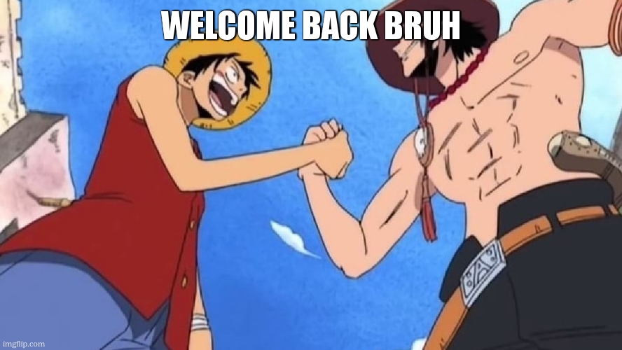 One Piece handshake | WELCOME BACK BRUH | image tagged in one piece handshake | made w/ Imgflip meme maker