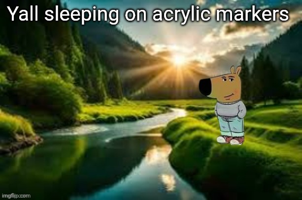 Alcohol markers are the ones you see on tiktok. Those suck. | Yall sleeping on acrylic markers | image tagged in chill guy | made w/ Imgflip meme maker