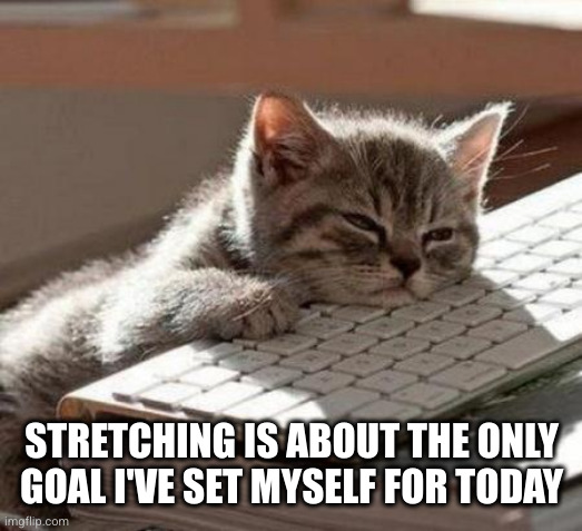 tired cat | STRETCHING IS ABOUT THE ONLY GOAL I'VE SET MYSELF FOR TODAY | image tagged in tired cat | made w/ Imgflip meme maker