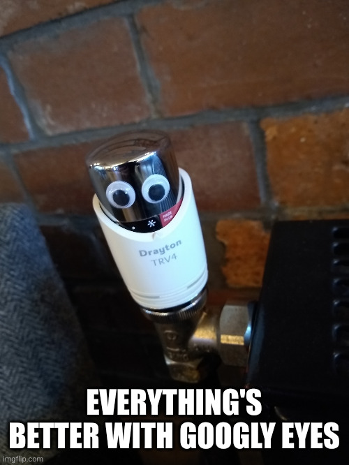 Googly eyes | EVERYTHING'S BETTER WITH GOOGLY EYES | image tagged in googly eyes | made w/ Imgflip meme maker