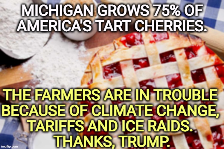 MICHIGAN GROWS 75% OF AMERICA'S TART CHERRIES. THE FARMERS ARE IN TROUBLE 
BECAUSE OF CLIMATE CHANGE, 
TARIFFS AND ICE RAIDS. 
THANKS, TRUMP. | image tagged in michigan,cherry,farmers,climate change,tariffs,trump | made w/ Imgflip meme maker