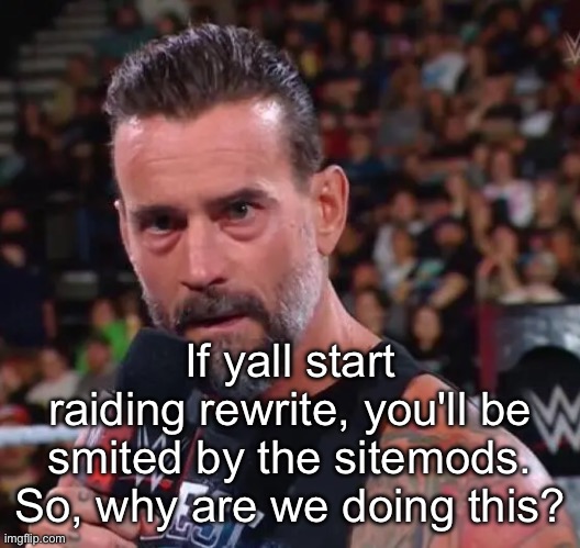 Why are we getting sitebanned | If yall start raiding rewrite, you'll be smited by the sitemods. So, why are we doing this? | image tagged in cm punk | made w/ Imgflip meme maker