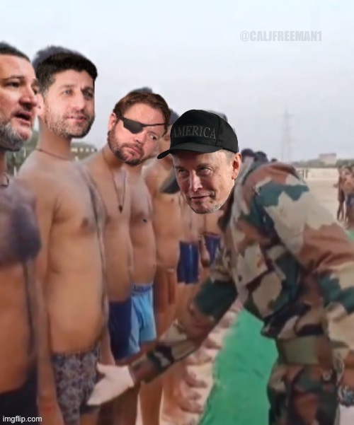 Musk recruitment “line up” inspection for the America Party… | @CALJFREEMAN1 | image tagged in elon musk blank tweet,elon musk,paul ryan,ted cruz,maga,elon musk laughing | made w/ Imgflip meme maker