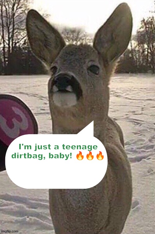 I have 2 tickets to Iron Maiden, baby~ Come with me Friday, don't say "Maybe." | I'm just a teenage dirtbag, baby! 🔥🔥🔥 | image tagged in deer yap session | made w/ Imgflip meme maker