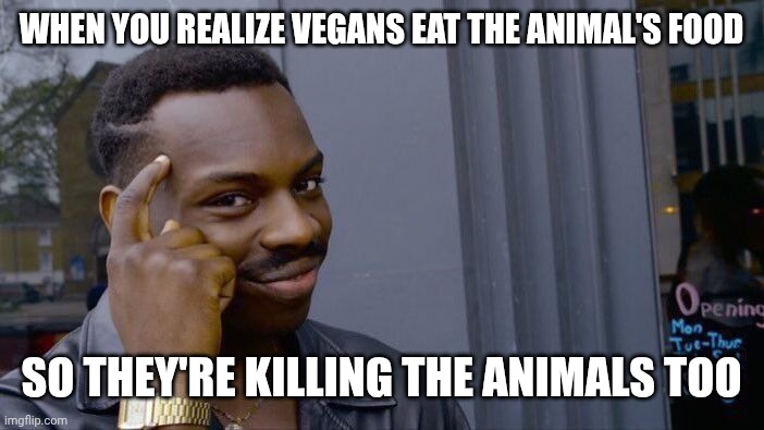 Just think about it | WHEN YOU REALIZE VEGANS EAT THE ANIMAL'S FOOD; SO THEY'RE KILLING THE ANIMALS TOO | image tagged in memes,roll safe think about it | made w/ Imgflip meme maker