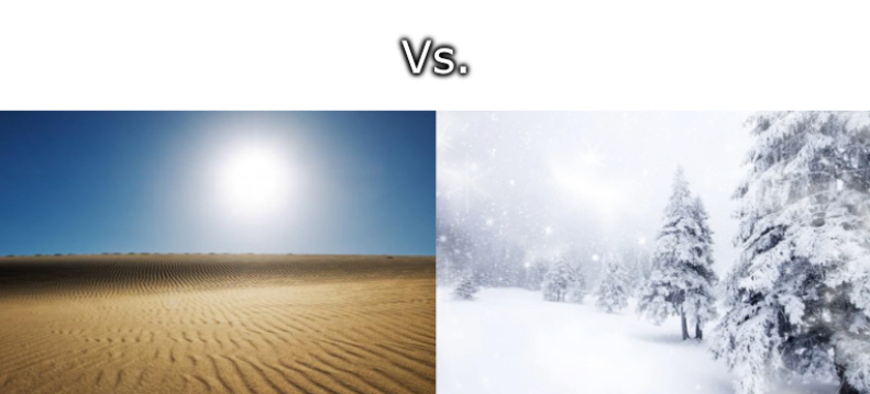 High Quality Desert vs. Snowy Forest Blank Meme Template