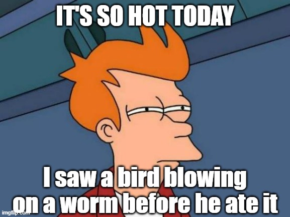 So Hot Today... | IT'S SO HOT TODAY; I saw a bird blowing on a worm before he ate it | image tagged in memes,futurama fry | made w/ Imgflip meme maker