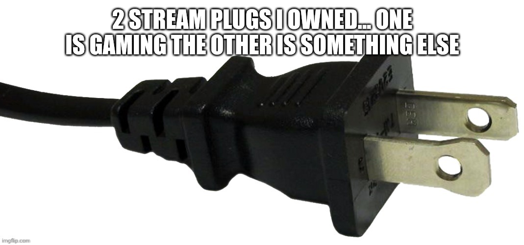 plug | 2 STREAM PLUGS I OWNED... ONE IS GAMING THE OTHER IS SOMETHING ELSE | image tagged in plug | made w/ Imgflip meme maker