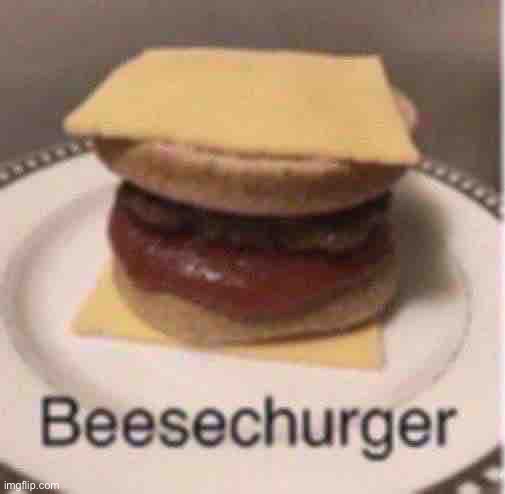 Beesechurger | image tagged in beesechurger | made w/ Imgflip meme maker