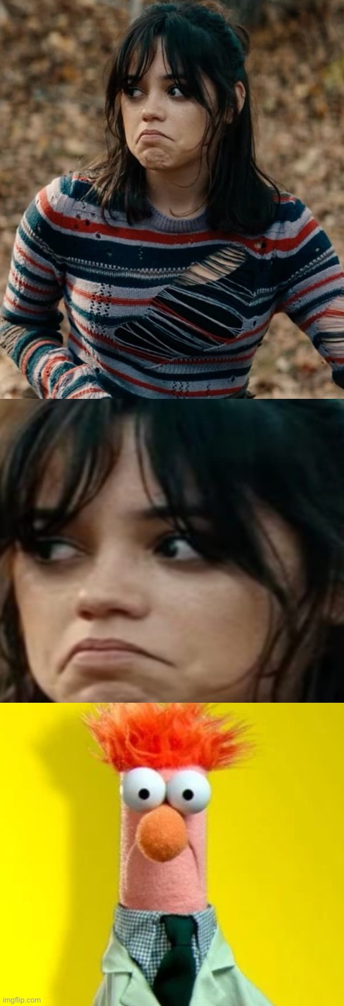 Jenna’s stupid funny face looks like Beaker Blank Meme Template