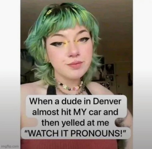 He didn't She/Them | image tagged in help i accidentally,watch out,there they are,green hair,attractive,grass is greener | made w/ Imgflip meme maker