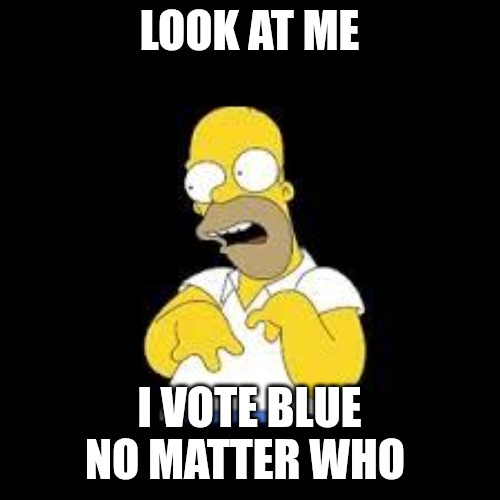I Vote blue no matter who | LOOK AT ME; I VOTE BLUE NO MATTER WHO | image tagged in look marge,true story,politics,political meme,politicians suck | made w/ Imgflip meme maker