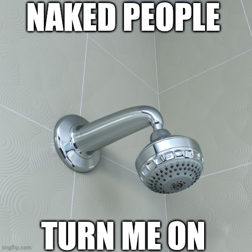 Naked People Turn Me On | NAKED PEOPLE; TURN ME ON | image tagged in shower head | made w/ Imgflip meme maker