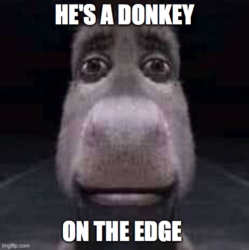mike Meyers | HE'S A DONKEY; ON THE EDGE | image tagged in donkey staring | made w/ Imgflip meme maker