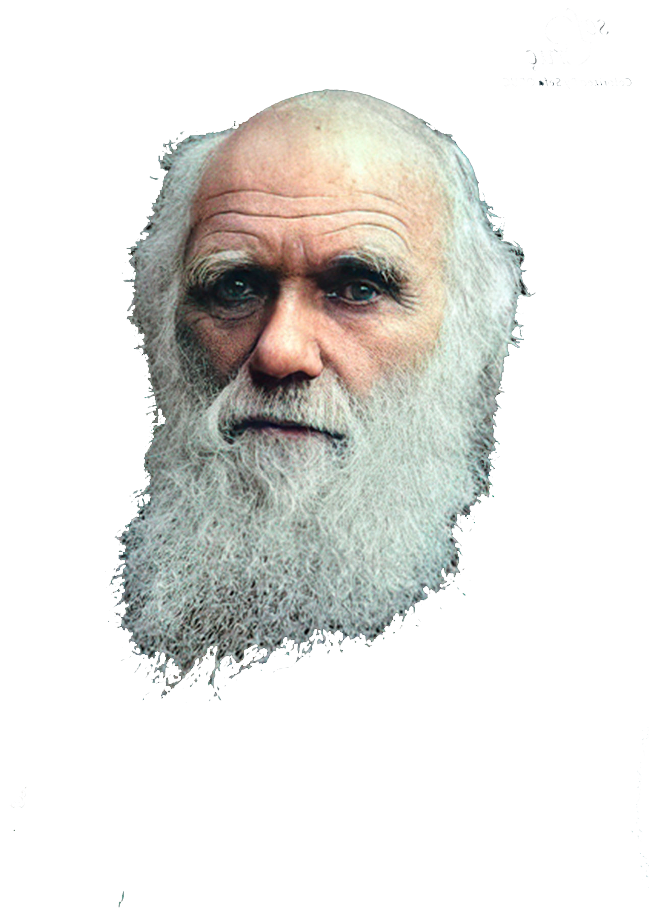 Charles Darwin Head Blank Meme Template
