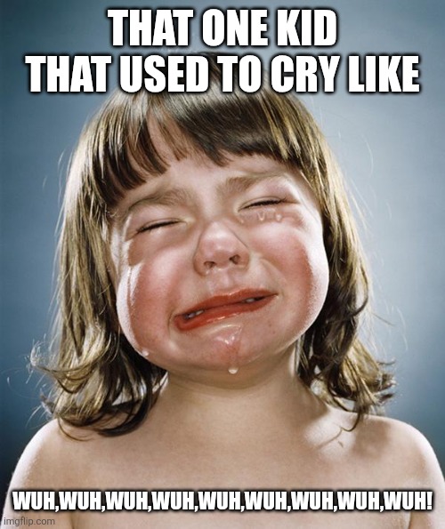 I knew a girl like this | THAT ONE KID THAT USED TO CRY LIKE; WUH,WUH,WUH,WUH,WUH,WUH,WUH,WUH,WUH! | image tagged in crying girl,memes | made w/ Imgflip meme maker
