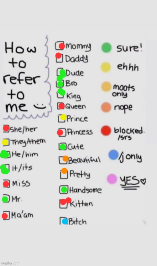 RE-DID THIS BECAUSE I'VE REALIZED I'M A TRANS MAN | image tagged in how to refer to me | made w/ Imgflip meme maker
