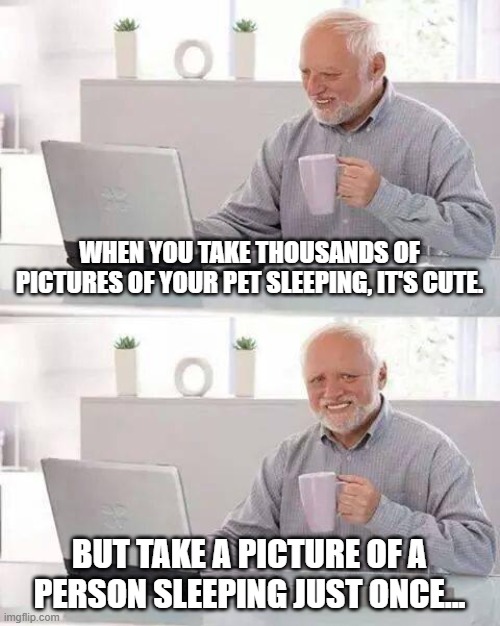 Imagine how your pet feels | WHEN YOU TAKE THOUSANDS OF PICTURES OF YOUR PET SLEEPING, IT'S CUTE. BUT TAKE A PICTURE OF A PERSON SLEEPING JUST ONCE... | image tagged in memes,hide the pain harold,pets | made w/ Imgflip meme maker