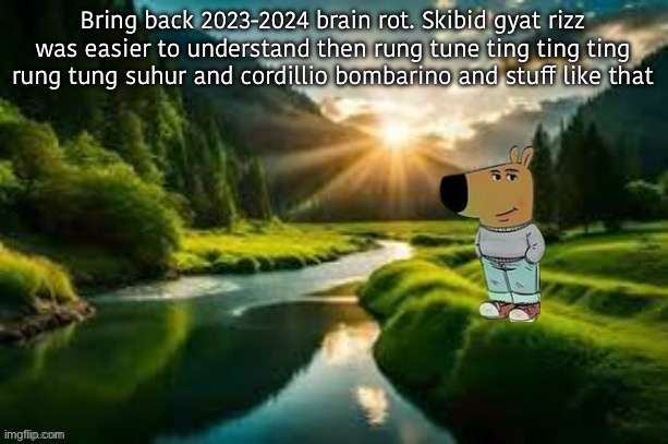 Caupiino ballerino | Bring back 2023-2024 brain rot. Skibid gyat rizz was easier to understand then rung tune ting ting ting rung tung suhur and cordillio bombarino and stuff like that | image tagged in chill guy | made w/ Imgflip meme maker