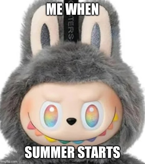 Labubu | ME WHEN; SUMMER STARTS | image tagged in labubu | made w/ Imgflip meme maker
