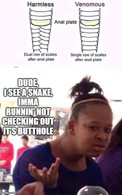 Snake ID | DUDE, I SEE A SNAKE, IMMA RUNNIN' NOT CHECKING OUT IT'S BUTTHOLE | image tagged in memes,black girl wat | made w/ Imgflip meme maker