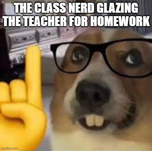 class nerd?? | THE CLASS NERD GLAZING THE TEACHER FOR HOMEWORK | image tagged in nerd dog | made w/ Imgflip meme maker
