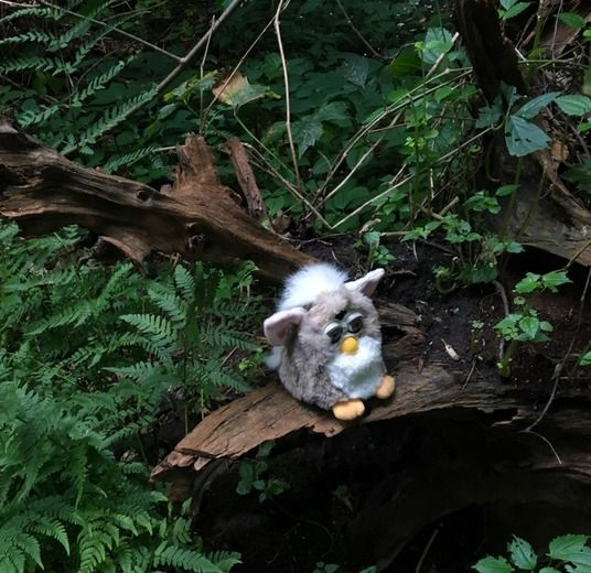 hunger games furby Blank Meme Template