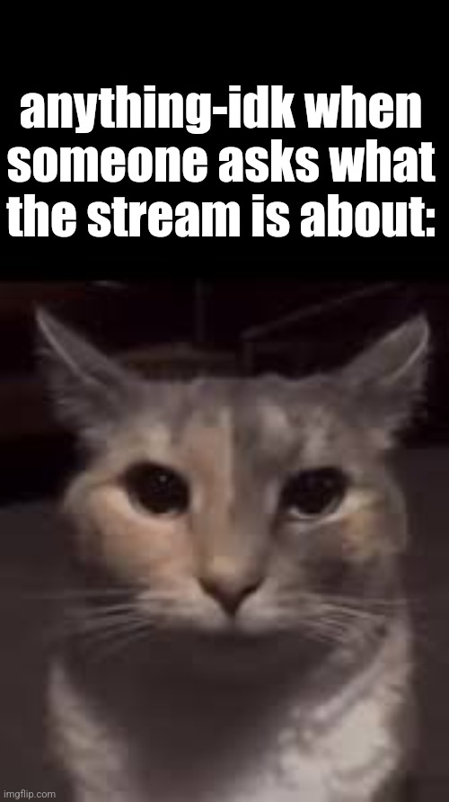 Idk bro ts cringe but I wanted to post smth | anything-idk when someone asks what the stream is about: | image tagged in erm | made w/ Imgflip meme maker