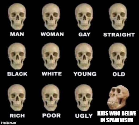 WAKE UP WAKE UP WAKE UP WAKE UP WAKE UP WAKE UP WAKE UP WAKE UP WAKE UP | KIDS WHO BELIVE IN SPAWNISIM | image tagged in idiot skull | made w/ Imgflip meme maker