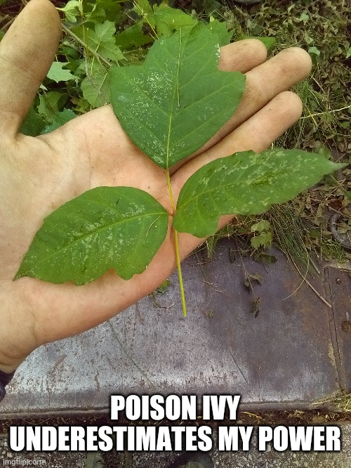 Haha I don't react | POISON IVY UNDERESTIMATES MY POWER | image tagged in you underestimate my power | made w/ Imgflip meme maker
