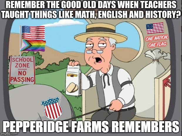 From the comments section of YouTube video “These Two Teachers Got Caught Doing the Unthinkable” by PatriotTwins | REMEMBER THE GOOD OLD DAYS WHEN TEACHERS TAUGHT THINGS LIKE MATH, ENGLISH AND HISTORY? ONE NATION,
ONE FLAG. | image tagged in pepperidge farms remembers,memes,usa,pride flag,usa flag | made w/ Imgflip meme maker