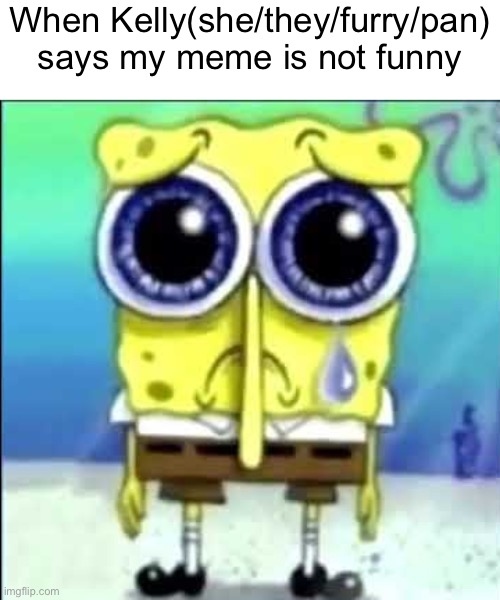 Sad Spongebob | When Kelly(she/they/furry/pan) says my meme is not funny | image tagged in sad spongebob | made w/ Imgflip meme maker