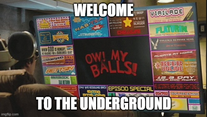 OW! MY BALLS! | WELCOME TO THE UNDERGROUND | image tagged in ow my balls | made w/ Imgflip meme maker