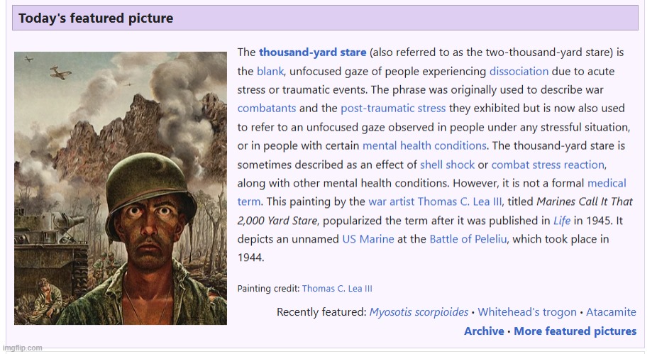 1000 yard stare Wikipedia | image tagged in 1000 yard stare wikipedia | made w/ Imgflip meme maker