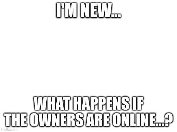 Owner's online | I'M NEW... WHAT HAPPENS IF THE OWNERS ARE ONLINE...? | image tagged in images,msmg | made w/ Imgflip meme maker