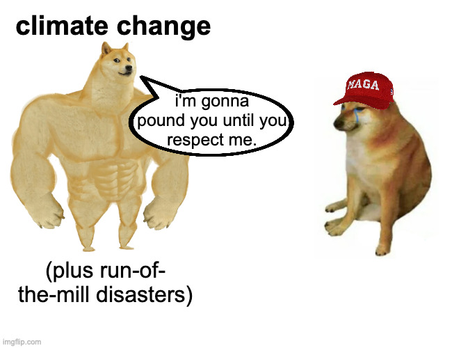Buff Nature vs. Maga | climate change; i'm gonna
pound you until you
respect me. (plus run-of-
the-mill disasters) | image tagged in memes,buff doge vs cheems,climate change,learning the hard way | made w/ Imgflip meme maker