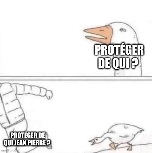 Goose Chase | PROTÉGER DE QUI ? PROTÉGER DE QUI JEAN PIERRE ? | image tagged in goose chase | made w/ Imgflip meme maker