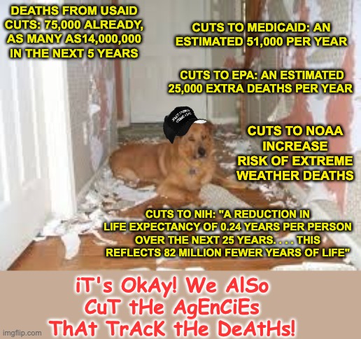 Bad DoGE! (And when a dog kills, you know it's the owner's fault) | CUTS TO MEDICAID: AN ESTIMATED 51,000 PER YEAR; DEATHS FROM USAID CUTS: 75,000 ALREADY, AS MANY AS14,000,000 IN THE NEXT 5 YEARS; CUTS TO EPA: AN ESTIMATED 25,000 EXTRA DEATHS PER YEAR; CUTS TO NOAA INCREASE RISK OF EXTREME WEATHER DEATHS; CUTS TO NIH: "A REDUCTION IN LIFE EXPECTANCY OF 0.24 YEARS PER PERSON OVER THE NEXT 25 YEARS. . . . THIS REFLECTS 82 MILLION FEWER YEARS OF LIFE"; iT's OkAy! We AlSo CuT tHe AgEnCiEs ThAt TrAcK tHe DeAtHs! | image tagged in destructive dog,deaths,doge,idiocracy,trump | made w/ Imgflip meme maker