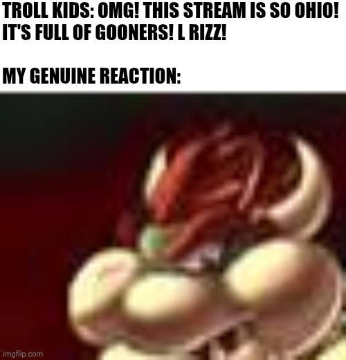 ㅤ | TROLL KIDS: OMG! THIS STREAM IS SO OHIO! 
IT'S FULL OF GOONERS! L RIZZ!
 
MY GENUINE REACTION: | image tagged in loona | made w/ Imgflip meme maker