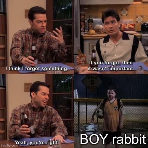 I think I forgot something | BOY rabbit | image tagged in i think i forgot something | made w/ Imgflip meme maker