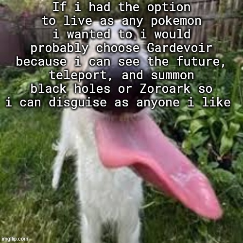 dog | If i had the option to live as any pokemon i wanted to i would probably choose Gardevoir because i can see the future, teleport, and summon black holes or Zoroark so i can disguise as anyone i like | image tagged in dog | made w/ Imgflip meme maker