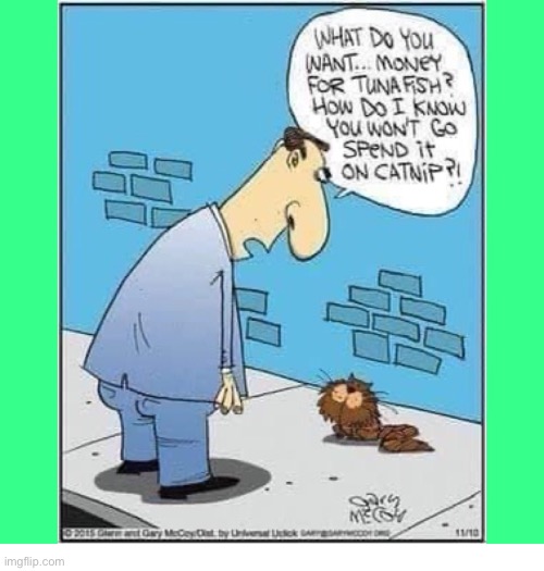 Nah, he wouldn’t do that… or would he? | image tagged in cats,comics/cartoons,begging cat,tuna or catnip | made w/ Imgflip meme maker