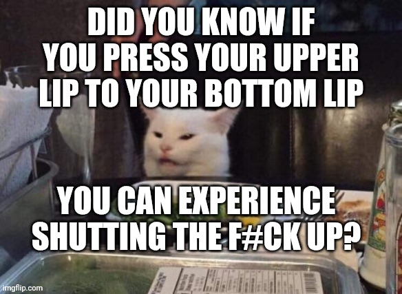 Smudge that darn cat | DID YOU KNOW IF YOU PRESS YOUR UPPER LIP TO YOUR BOTTOM LIP; YOU CAN EXPERIENCE SHUTTING THE F#CK UP? | image tagged in smudge that darn cat | made w/ Imgflip meme maker