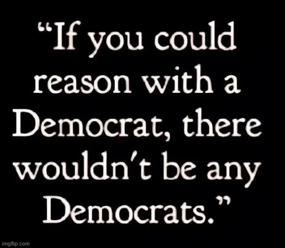 The truth about democrats | image tagged in politcal,reposts,truth about democrats | made w/ Imgflip meme maker