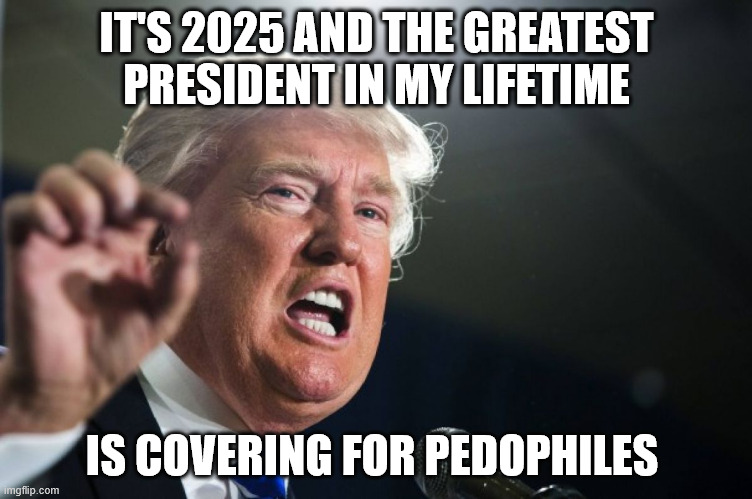 donald trump | IT'S 2025 AND THE GREATEST PRESIDENT IN MY LIFETIME; IS COVERING FOR PEDOPHILES | image tagged in donald trump,jeffrey epstein | made w/ Imgflip meme maker
